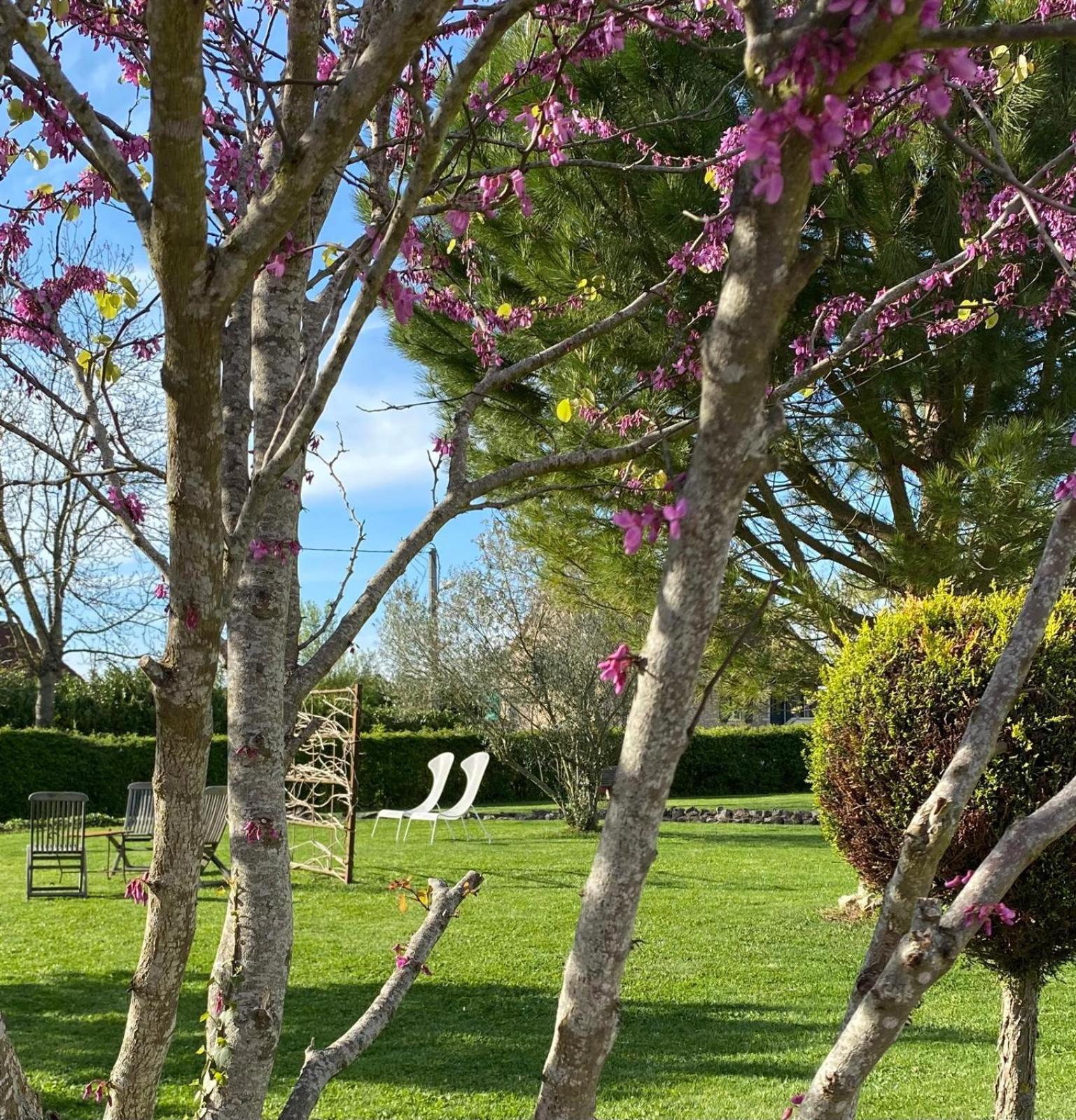 Gite Et Studios Les Barongeres Farges-les-Chalon 외부 사진