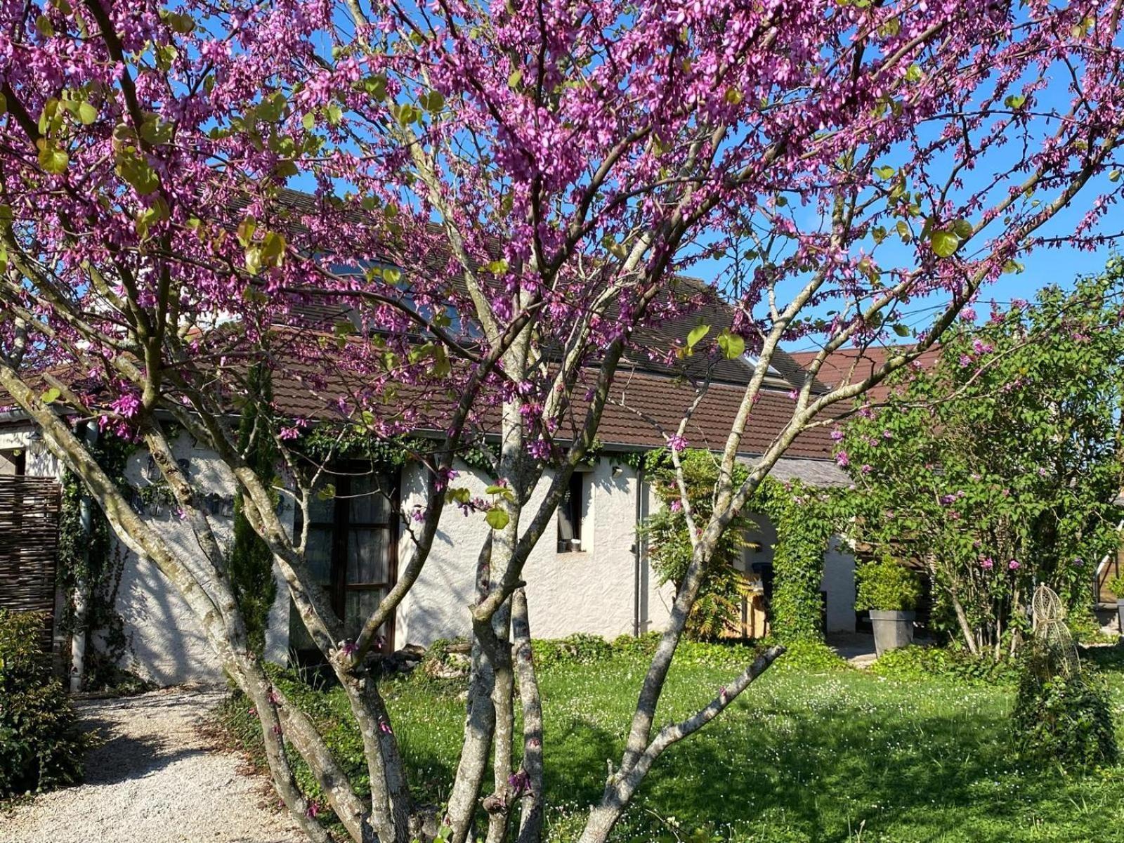 Gite Et Studios Les Barongeres Farges-les-Chalon 외부 사진