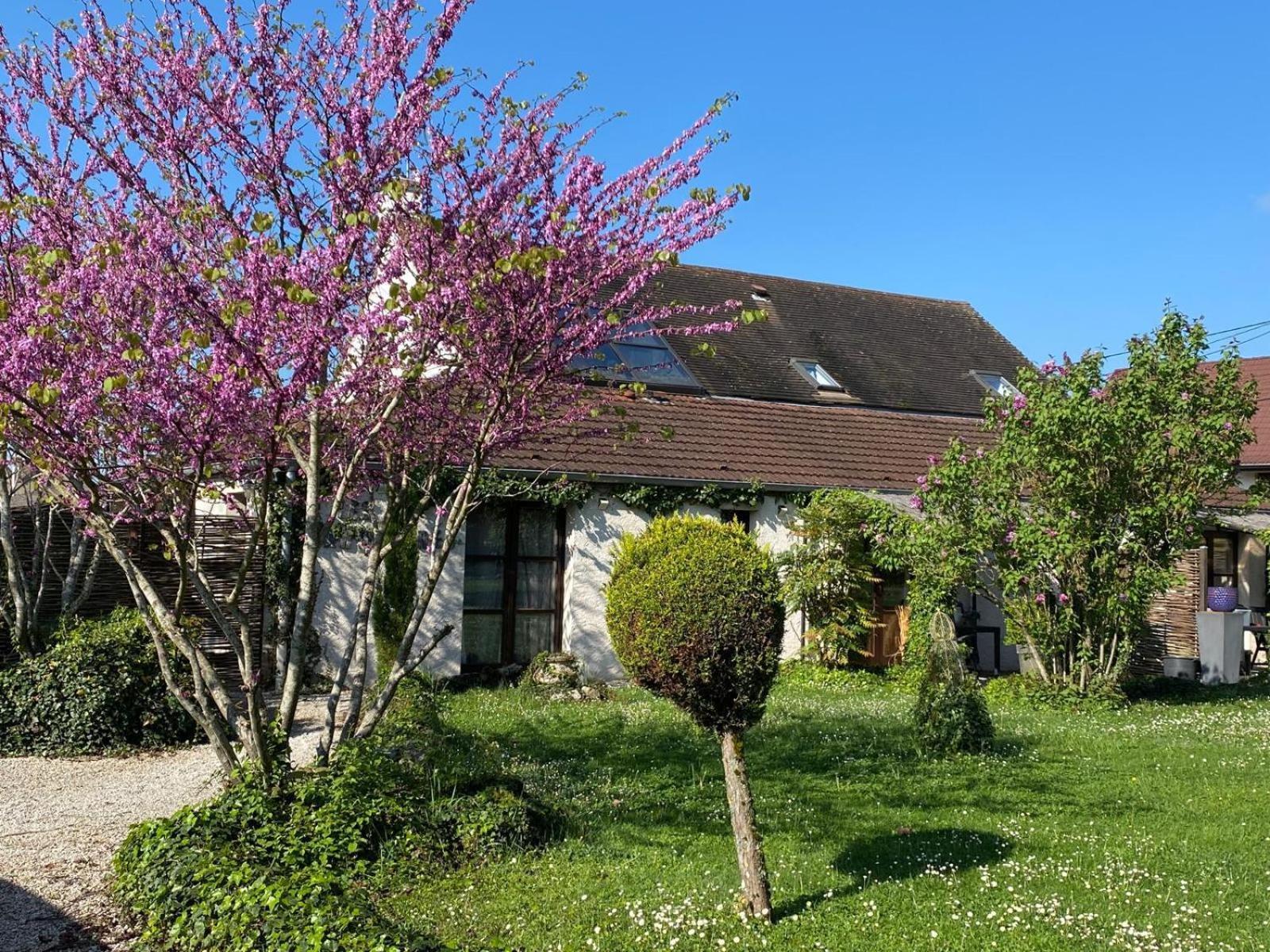 Gite Et Studios Les Barongeres Farges-les-Chalon 외부 사진